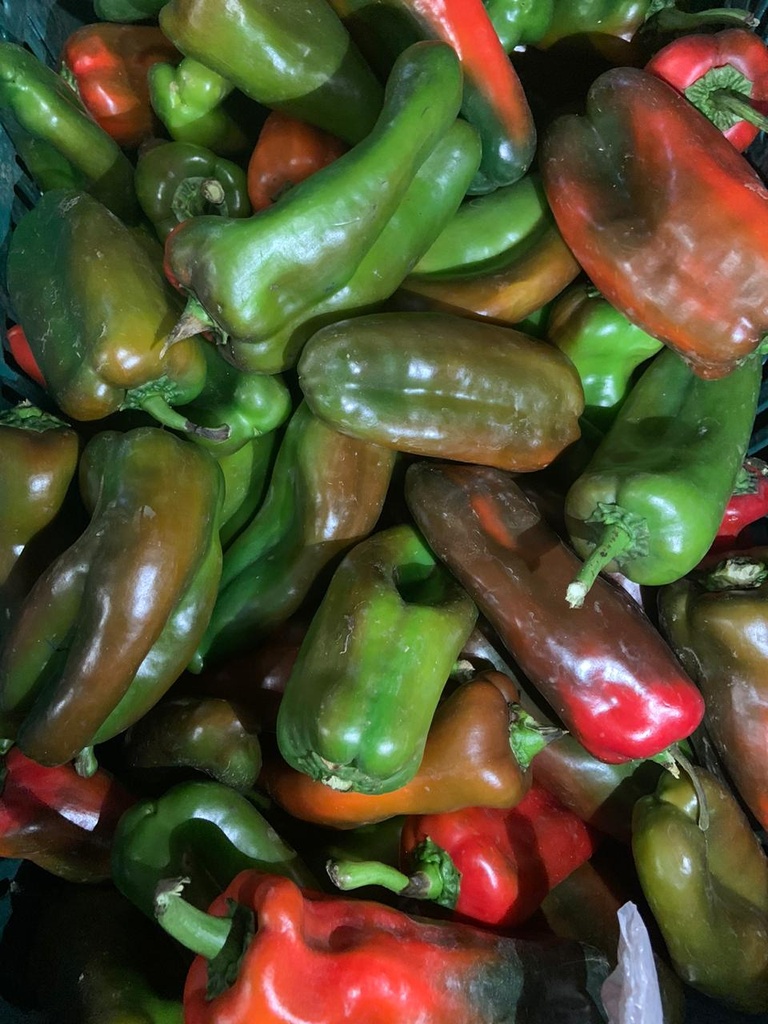Chile dulce Mediano (Ud)