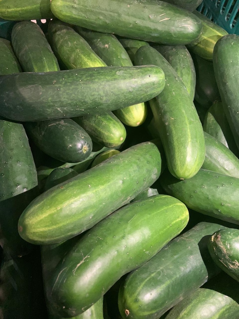 Pepino (1kg)