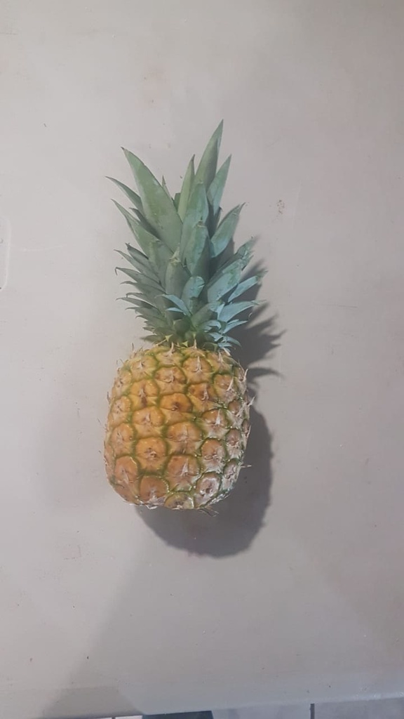Piña  (Unidad)