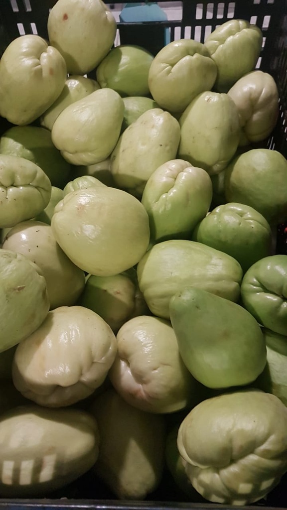 Chayote Quelite (Unidad)