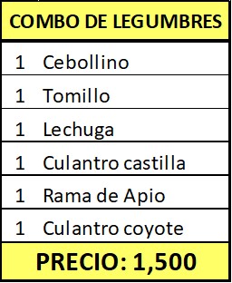 *Combo de Legumbres ( 1 Rollo de Cebollino, 1 Rollo de Tomillo, 1 Lechuga, 1 Rollo de Culantro Castilla, 1 Rama de Apio,1 Rollo de Culantro Coyote)