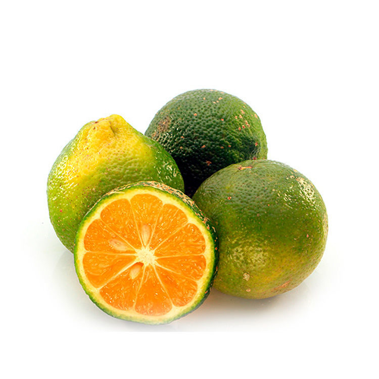 Limon Ácido Mandarina (bolsita 10 uds)