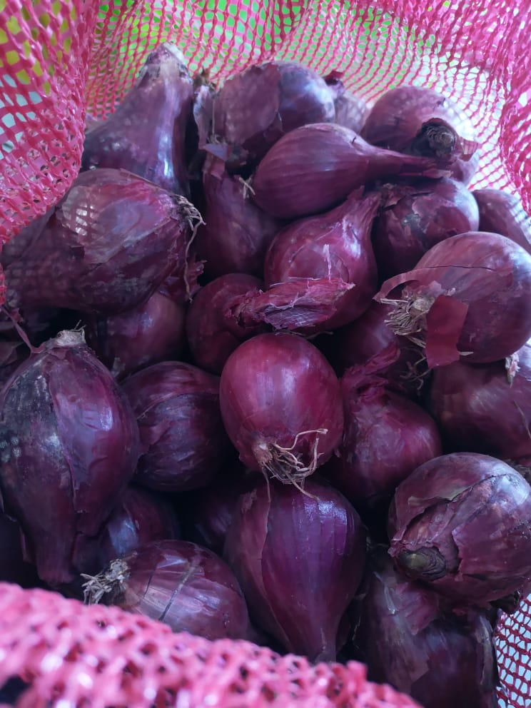 Cebolla Morada (1/2 Kg)