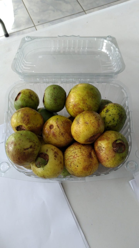 Cas (1/2 kg)