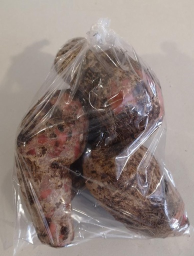 Tiquisque (1/2 Kg)