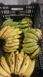 Banano PINTÓN - VERDE (Mano)