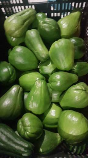 Chayote Negro (Unidad)