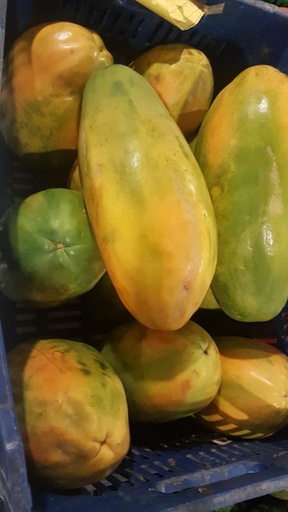 Papaya(Unidad)