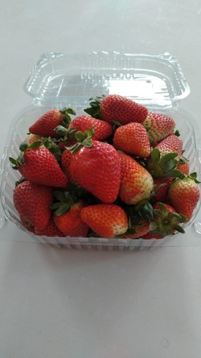 Fresas (Bandeja 900 gramos)