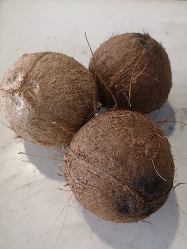 Coco (Unidad)