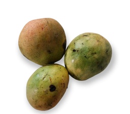 Mango  (Kg)