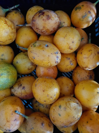 Granadilla Ud