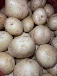 Papa Blanca (Kg)