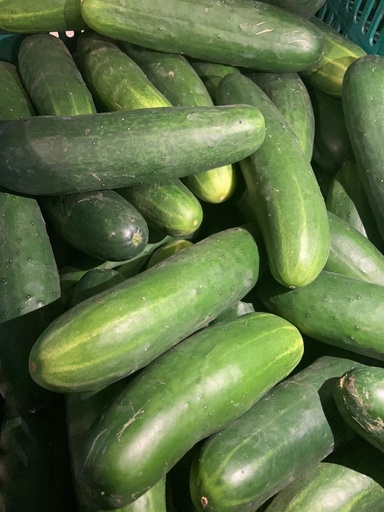 Pepino (1/2kg)