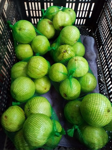 Guayaba (1/2kg)