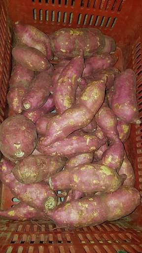 Camote (1/2 Kg)